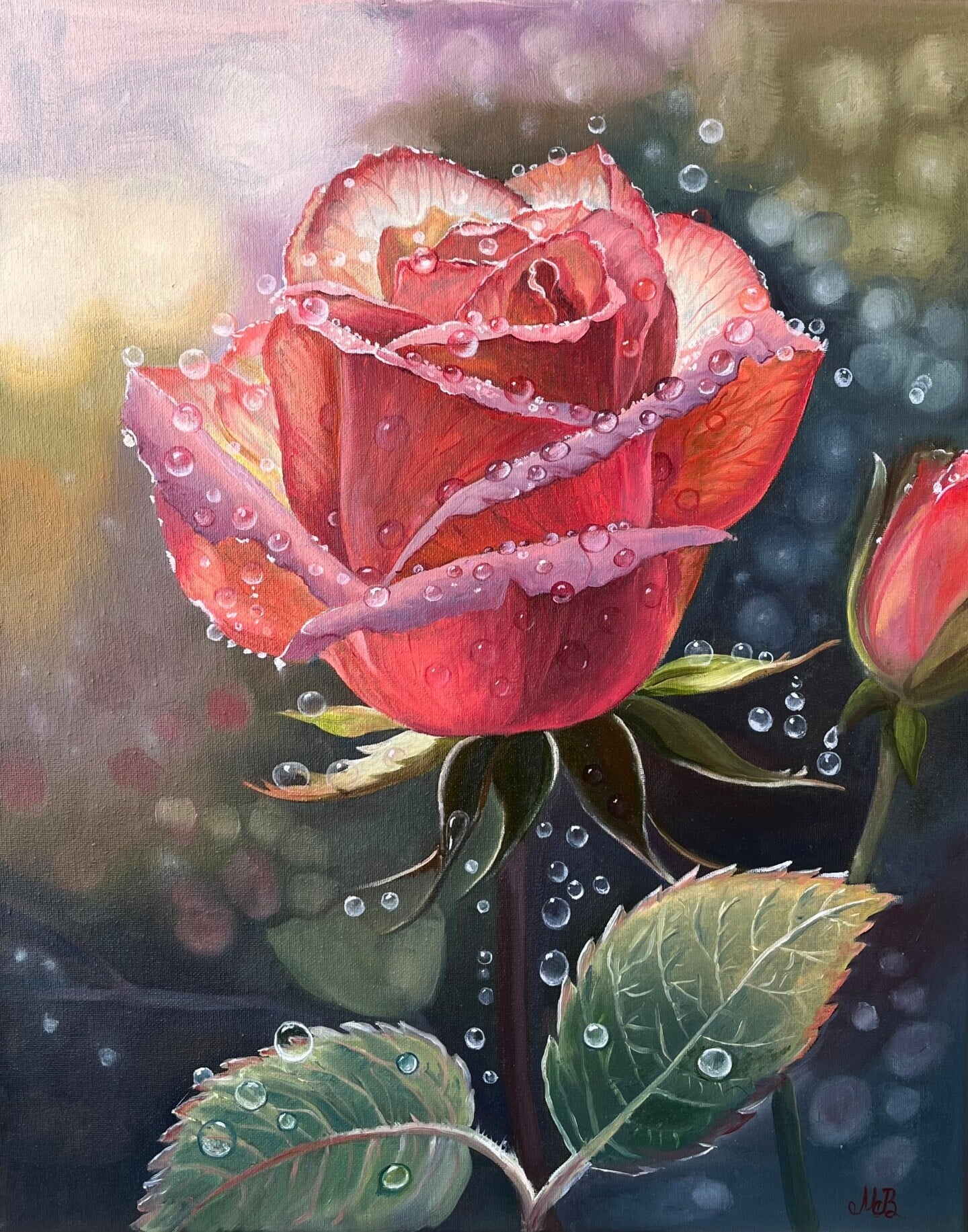 A red and pink rose with water droplets on its petals and leaves in Morning Jewels