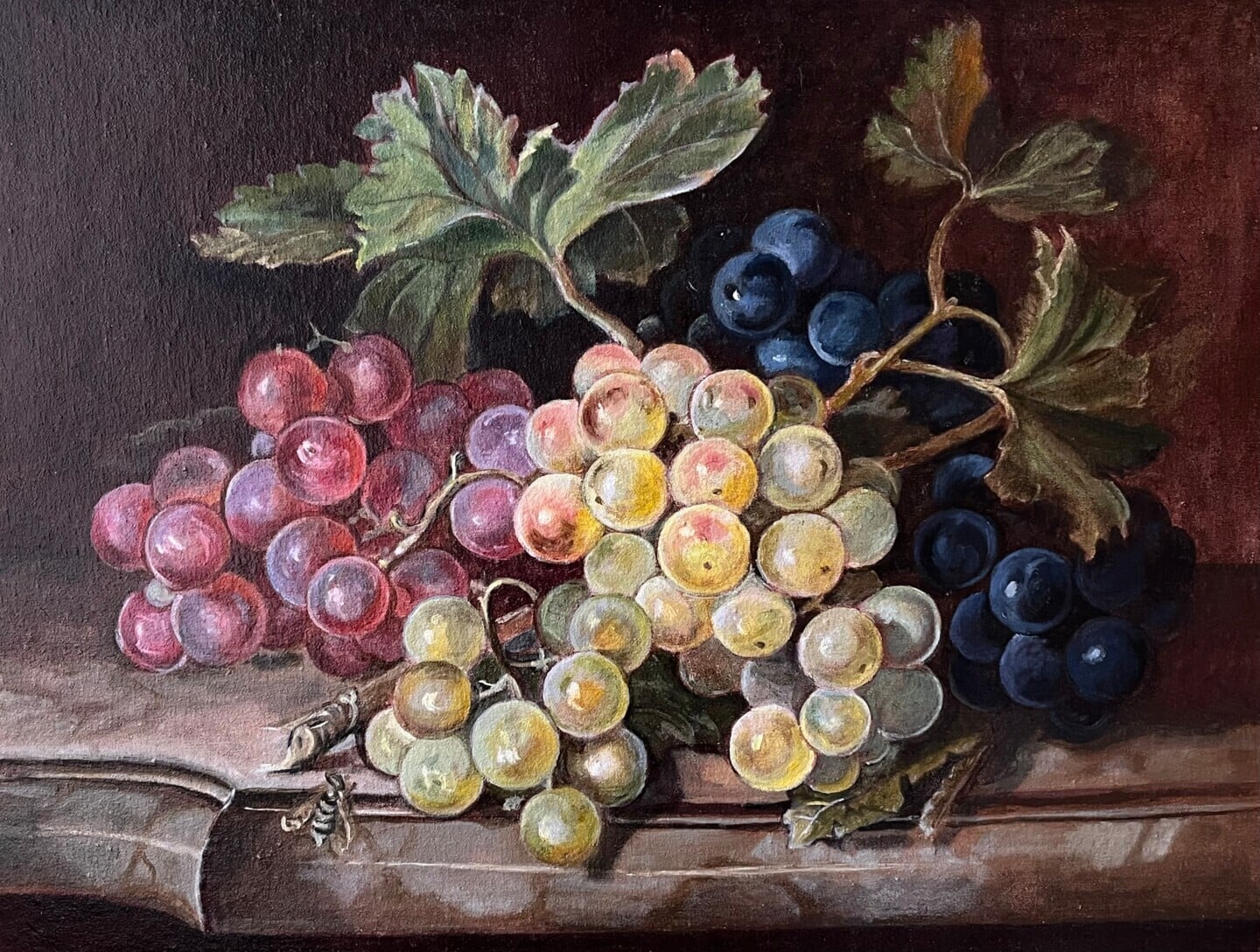 Red, golden, and blue grape clusters with vine leaves in Vintage Harvest